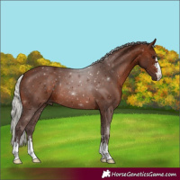 Horse Color:Silver Brown