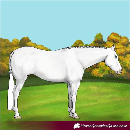 Horse Color:Silver Perlino Dun 