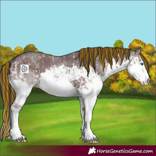 Horse Color:Painted Buckskin Ice Dun Sabino Splash Rabicano  and Smoky Grullo Sabino Splash Rabicano 
