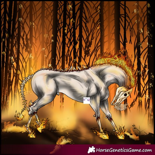 Horse Color:Cremello 