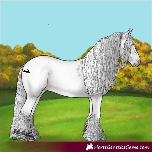 Horse Color:White Spotted Silver Bay Chinchilla 