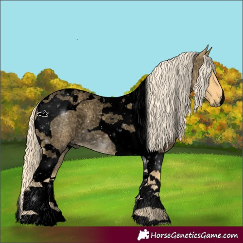 Horse Color:Void Palomino Roan Tobiano 