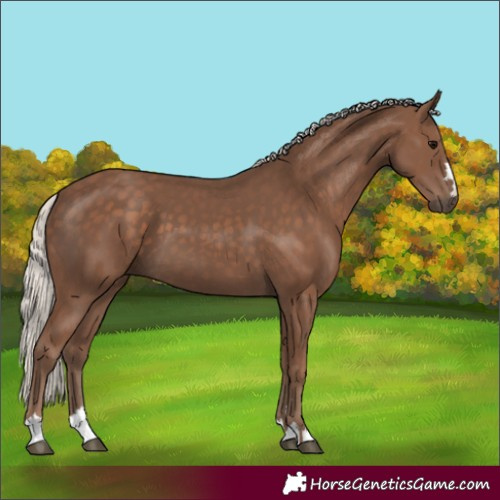 Horse Color:Silver Black 