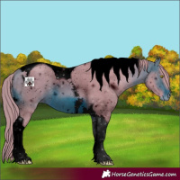 Horse Color:ERROR: UNKNOWN ANOMALY