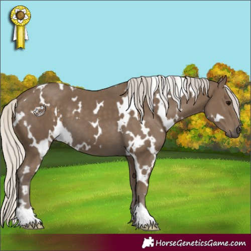 Horse Color:White Spotted Silver Smoky Black 
