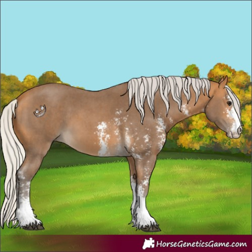 Horse Color:Silver Buckskin Sabino 