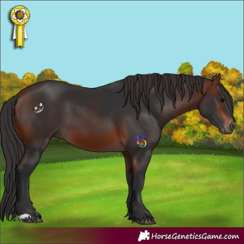 Horse Color:Brown 