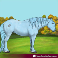 Horse Color:Watercolor Liver Chestnut 