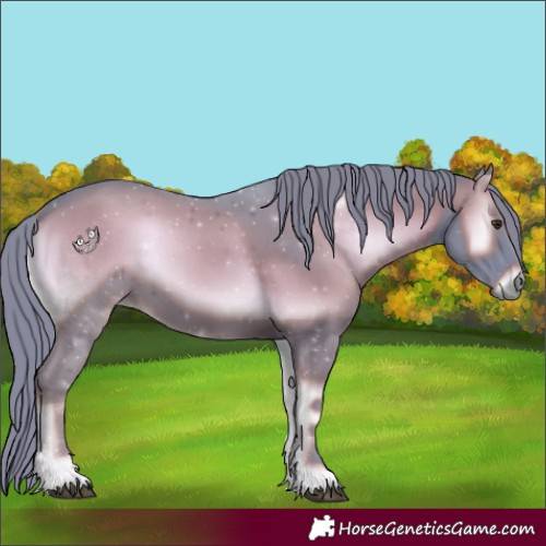 Horse Color:Watercolor Liver Red Onyx 