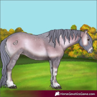 Horse Color:Watercolor Liver Red Onyx