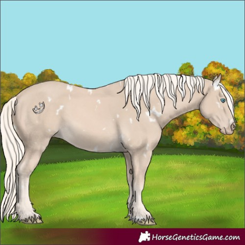 Horse Color:White Spotted Cremello 