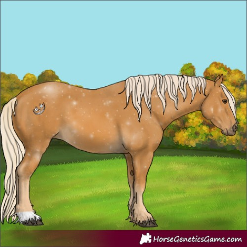 Horse Color:Palomino 