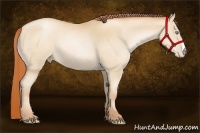 Horse Color:Amber Champagne Pearl