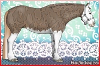 Horse Color:Chestnut Ice Splash 