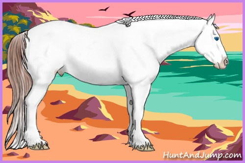 Horse Color:Sable Champagne Ice Frame Appaloosa 