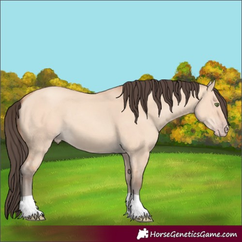 Horse Color:Amber Champagne Dun 