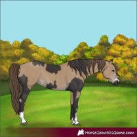Horse Color:Smoky Black and Classic Cream Champagne
