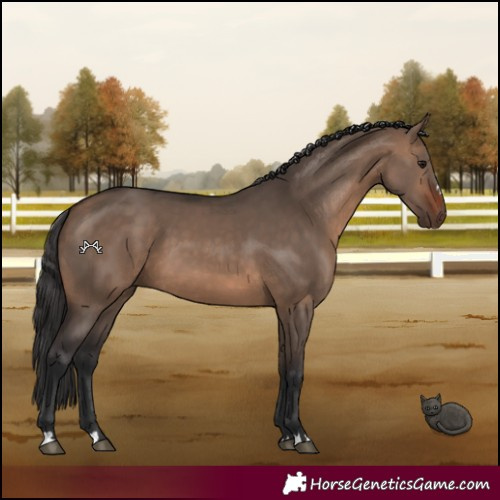 Horse Color:Brown Dun 