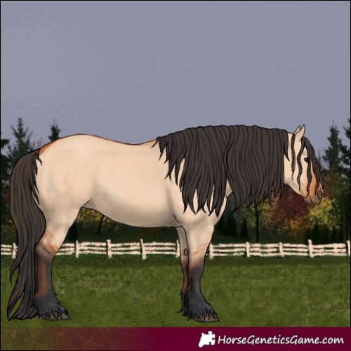 Horse Color:Bay Dun
