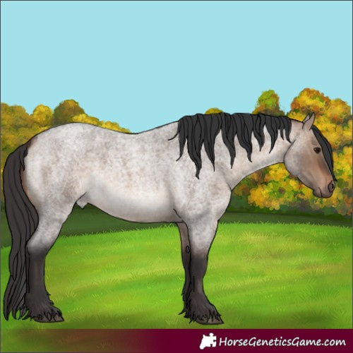 Horse Color:Brown Roan Dun 