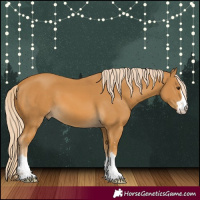 Horse Color:Palomino