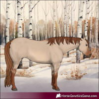 Horse Color:Red Dun 
