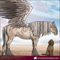 Horse Color:Liver Red Dun  and Chocolate Palomino Pearl Dun 