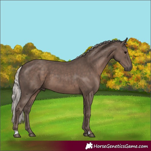 Horse Color:Silver Black 