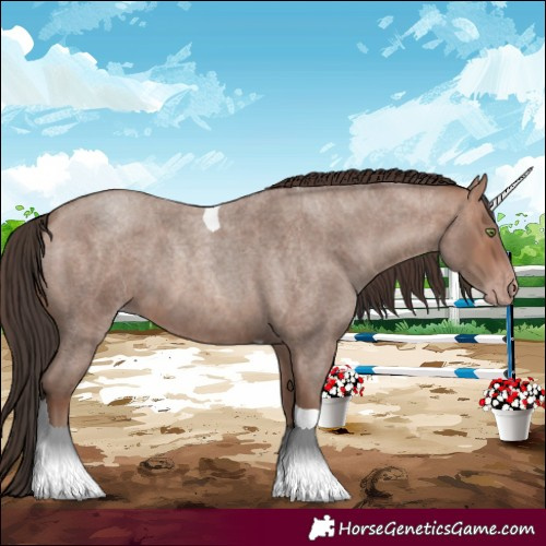 Horse Color:Sable Champagne Roan Tobiano 