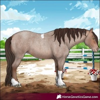 Horse Color:Sable Champagne Roan Tobiano
