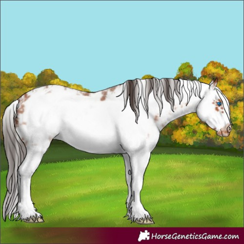 Horse Color:Bay Sabino Splash Frame Blanket 