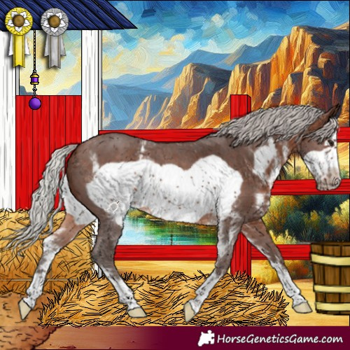 Horse Color:Silver Brown Sabino Frame 
