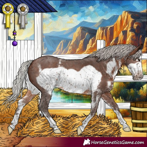 Horse Color:Silver Brown Sabino Frame 