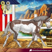 Horse Color:Silver Brown Sabino Frame