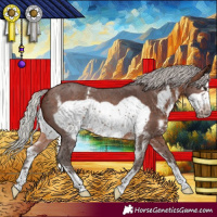 Horse Color:Silver Brown Sabino Frame 