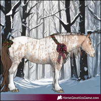 Horse Color:Amber Champagne Sabino Tobiano Appaloosa  and Amber Champagne Sabino Tobiano Appaloosa 