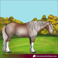 Horse Color:Gray Silver Black Pearl Tobiano 