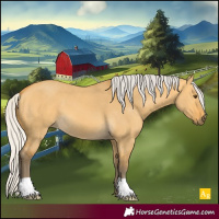 Horse Color:Silver Buckskin Dun