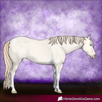 Horse Color:Perlino Dun Tobiano 