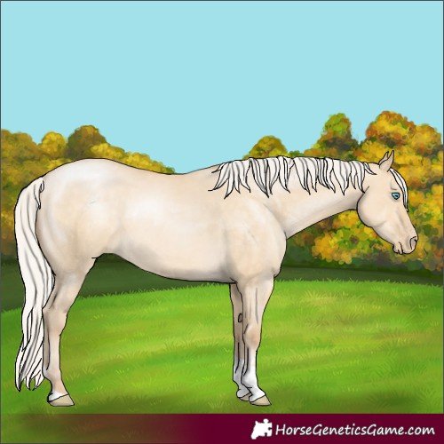 Horse Color:Silver Buckskin Pearl Dun Tobiano Rabicano 