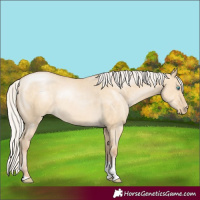 Horse Color:Silver Buckskin Pearl Dun Tobiano Rabicano 