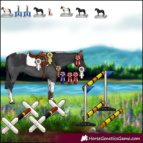 Horse Color:Black Tobiano 