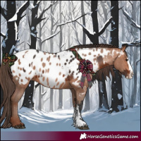 Horse Color:Bay Sabino Splash Near Leopard  and Amber Champagne Sabino Splash Near Leopard 