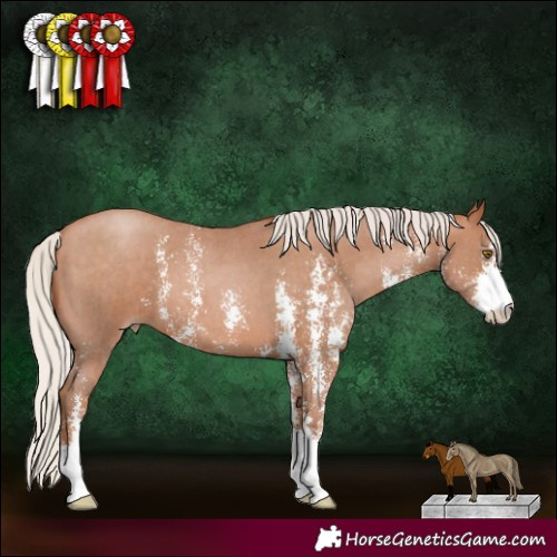 Horse Color:Silver Bay Pearl Sabino 