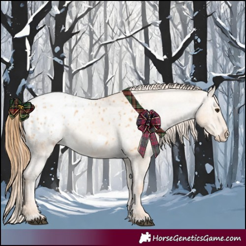 Horse Color:Red Dun Appaloosa  and Red Dun Frame Appaloosa 