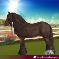 Horse Color:Liver Chestnut  and Liver Chestnut 