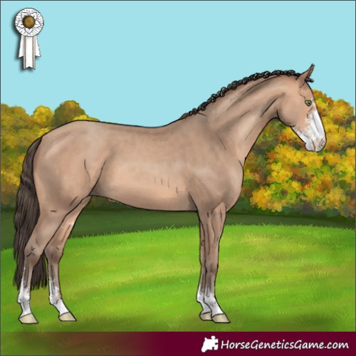 Horse Color:Amber Champagne Sabino 