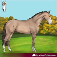 Horse Color:Amber Champagne Sabino