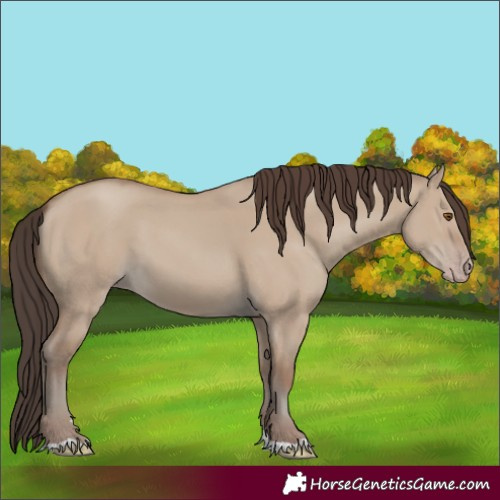 Horse Color:Classic Champagne Dun 