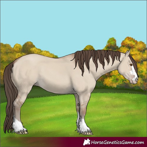 Horse Color:Classic Champagne Dun 